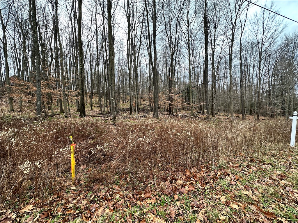 C4 S Peninsula Dr, Indian Lake Boro, Indiana image 3