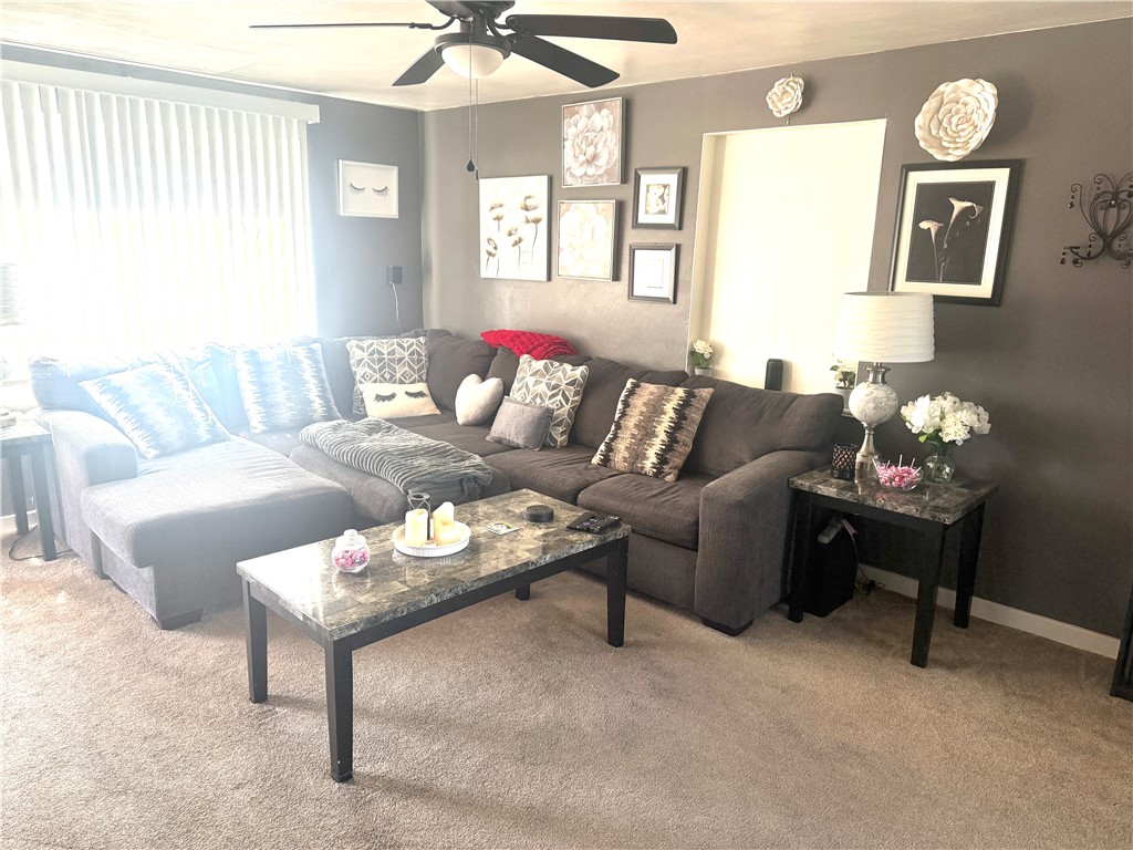 116 Frandor Dr
