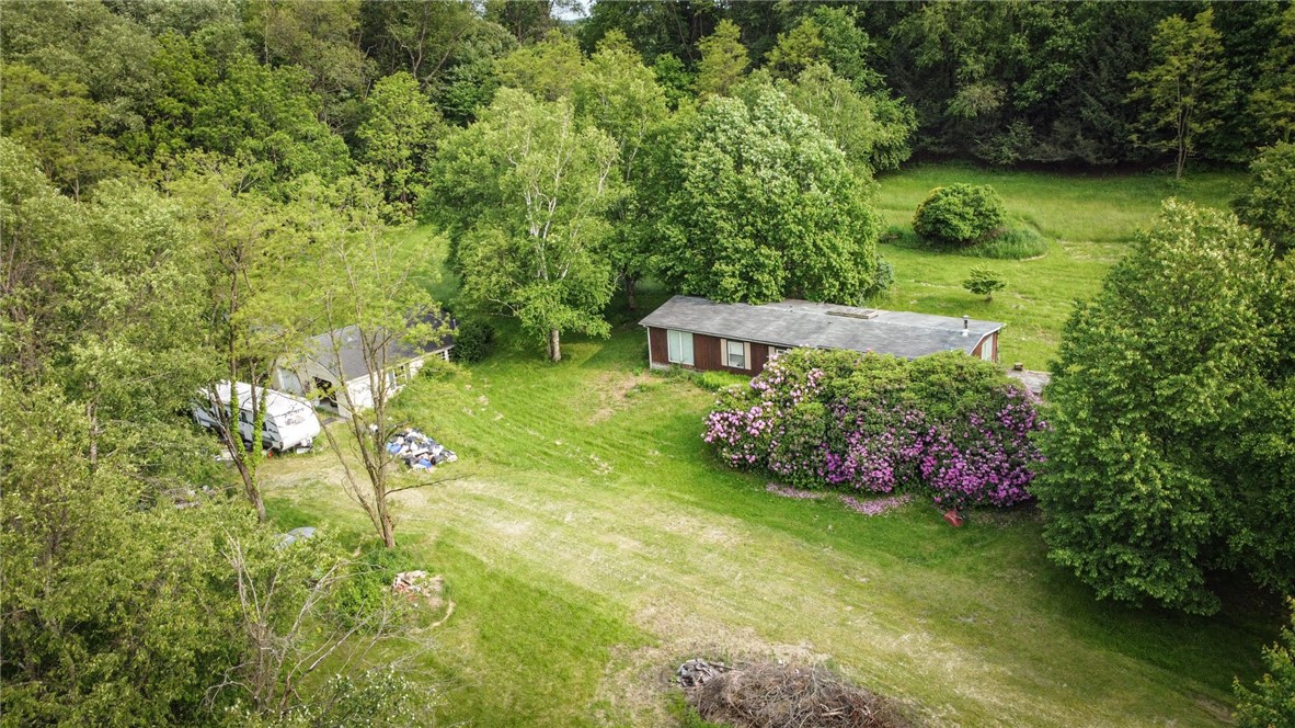 1117 Prospect Rd