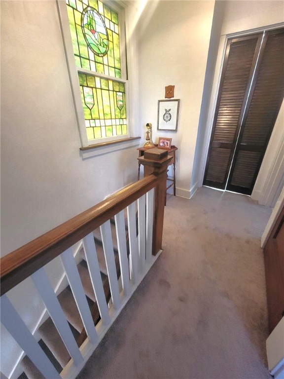 2904 Brevard Ave Ave, Brentwood, Pennsylvania image 15