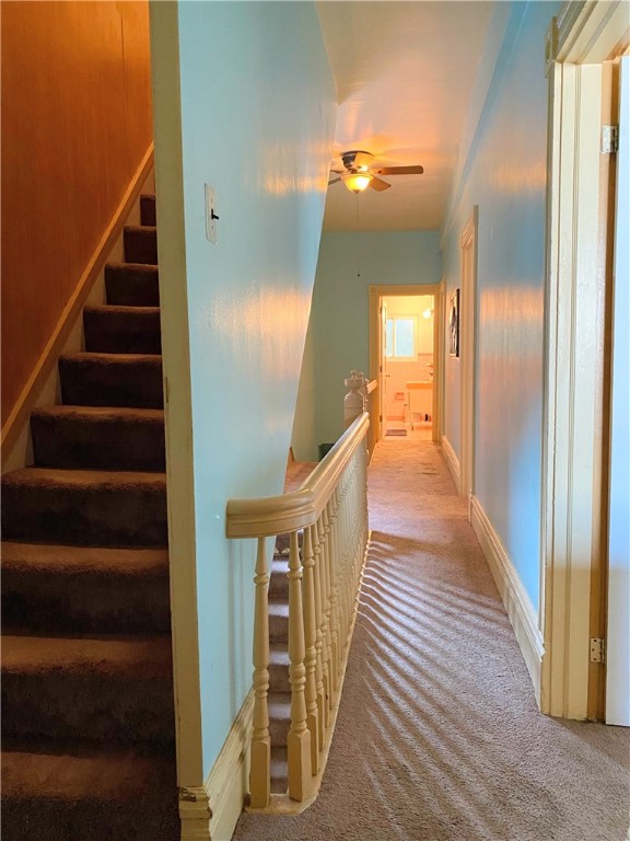 3241 Parkview Ave Ave, Oakland, Pennsylvania image 19