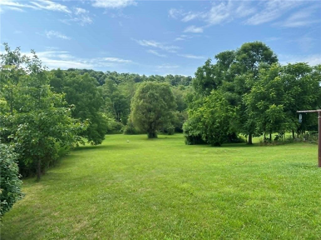 1266 Chicora Rd