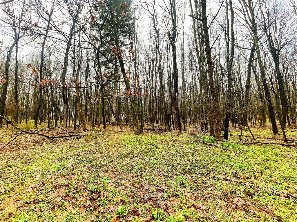 Stonycreek Twp, Pennsylvania 15541, United States, 3 Bedrooms Bedrooms, ,1 BathroomBathrooms,Residential,Pending,103918