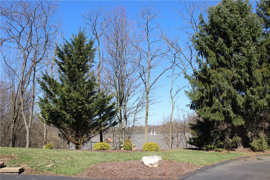 303 Apple Blossom Ct, Murrysville, Pennsylvania image 43