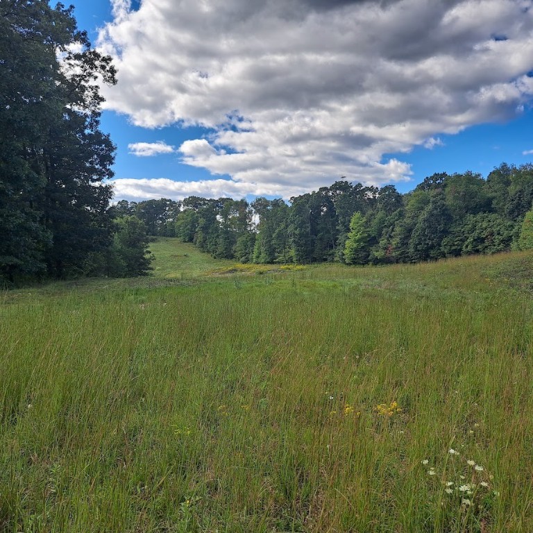 00 Chicora Rd, Fairview Twp - BUT, Pennsylvania image 19