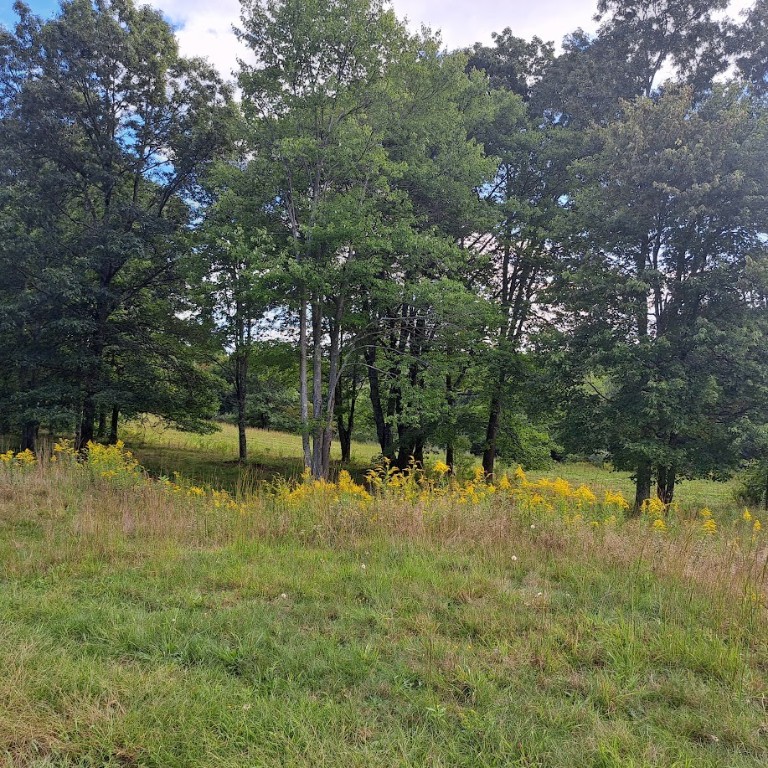 00 Chicora Rd, Fairview Twp - BUT, Pennsylvania image 18