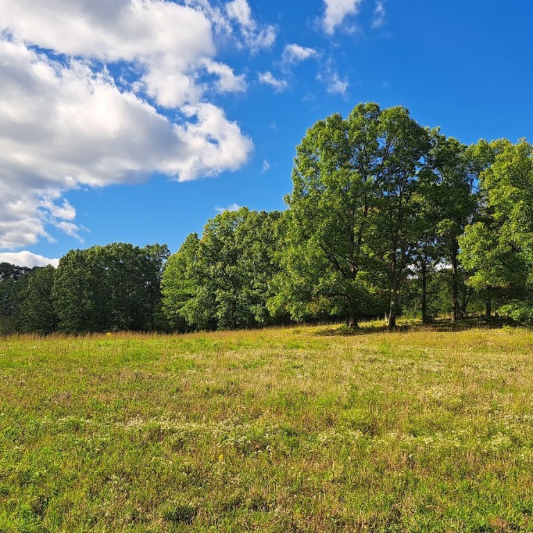 00 Chicora Rd, Fairview Twp - BUT, Pennsylvania image 31