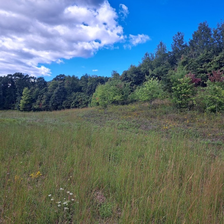 00 Chicora Rd, Fairview Twp - BUT, Pennsylvania image 20