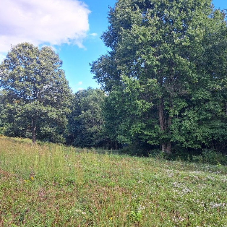 00 Chicora Rd, Fairview Twp - BUT, Pennsylvania image 26