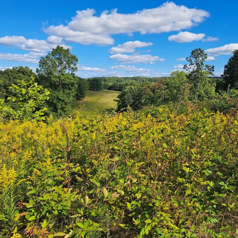 00 Chicora Rd, Fairview Twp - BUT, Pennsylvania image 32
