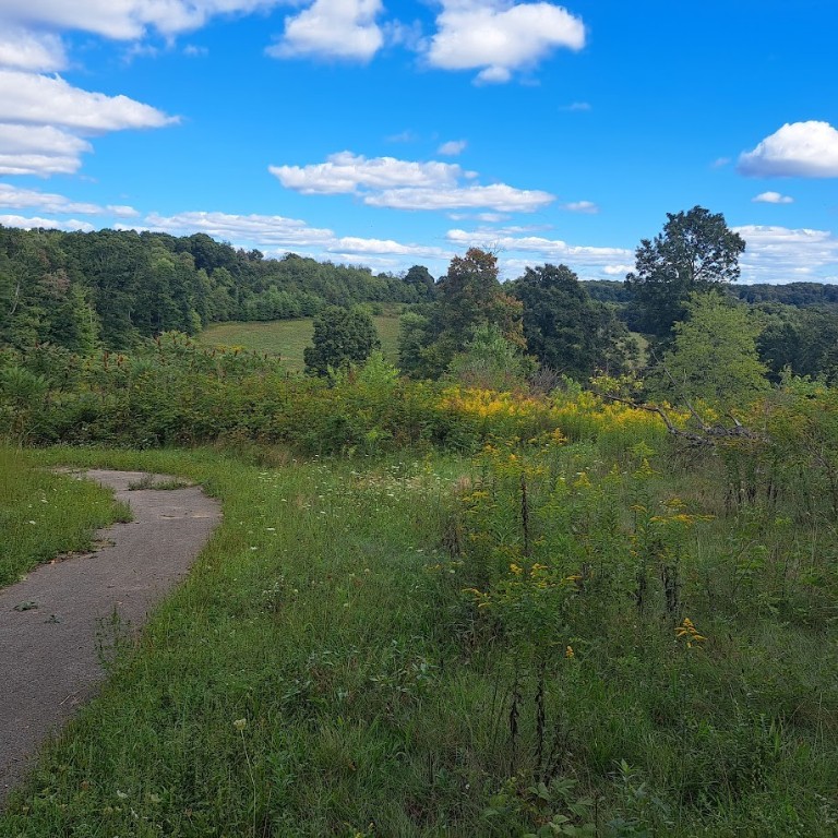 00 Chicora Rd, Fairview Twp - BUT, Pennsylvania image 12
