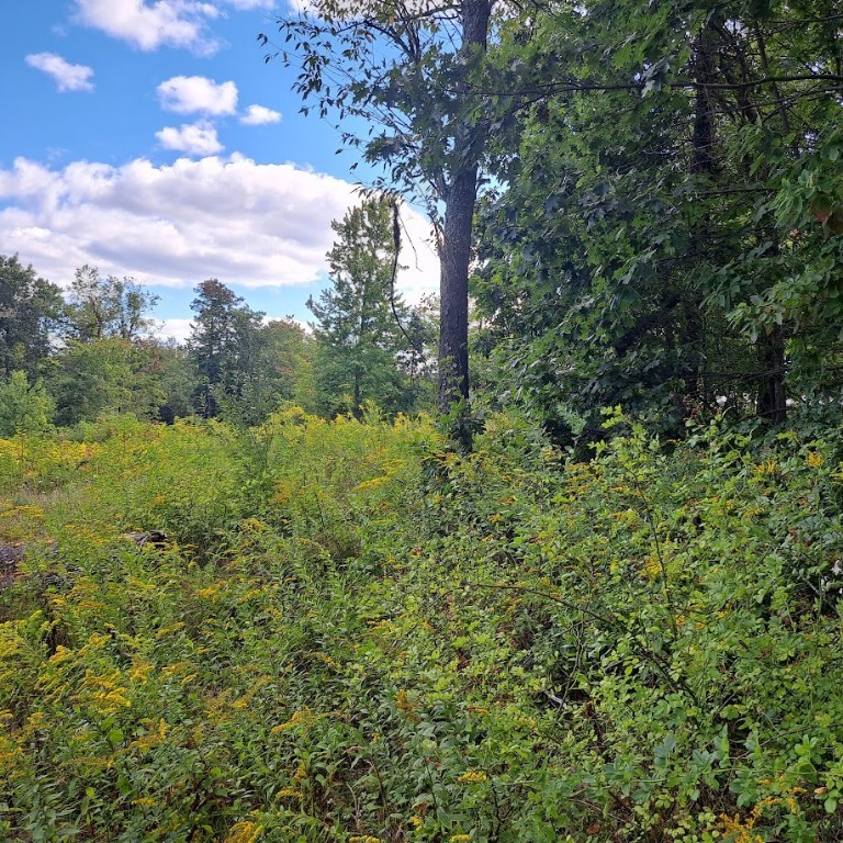 00 Chicora Rd, Fairview Twp - BUT, Pennsylvania image 14
