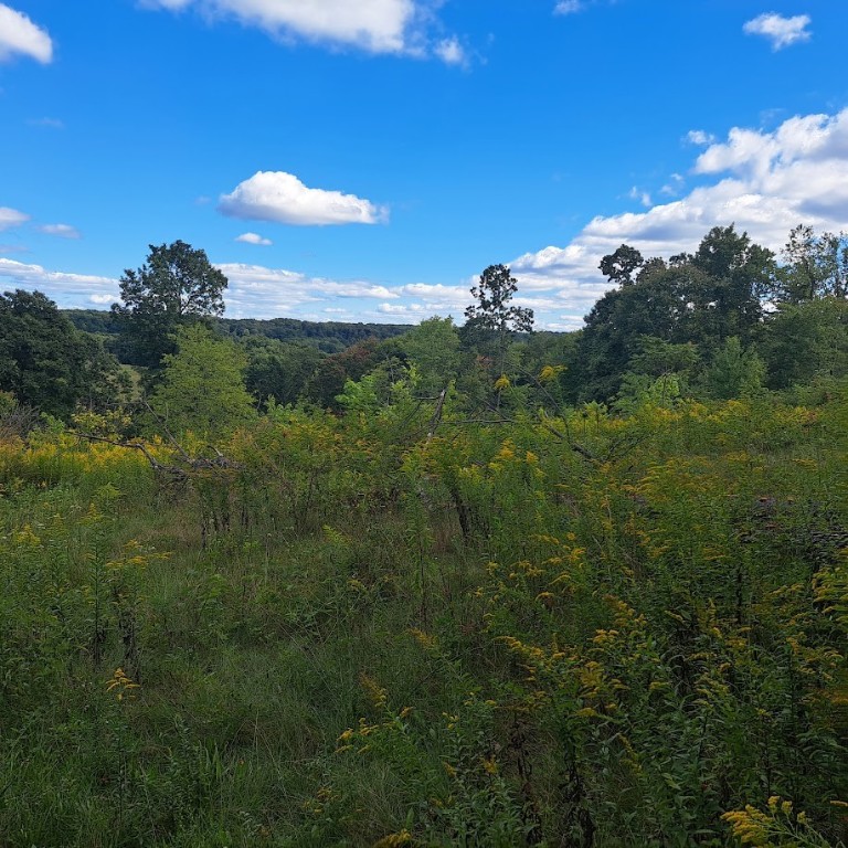 00 Chicora Rd, Fairview Twp - BUT, Pennsylvania image 13