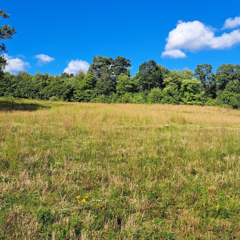 00 Chicora Rd, Fairview Twp - BUT, Pennsylvania image 30