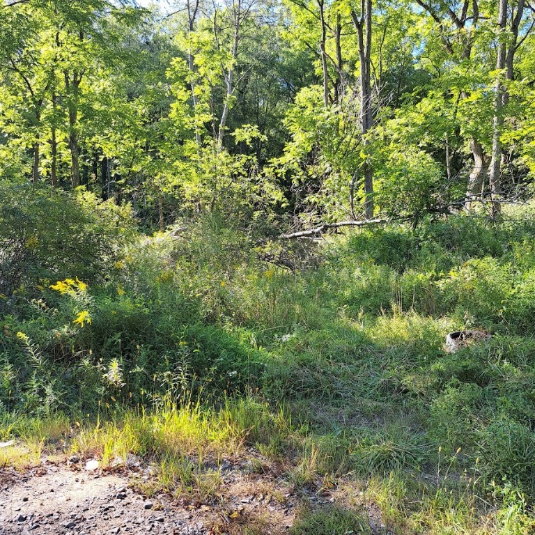 00 Chicora Rd, Fairview Twp - BUT, Pennsylvania image 34