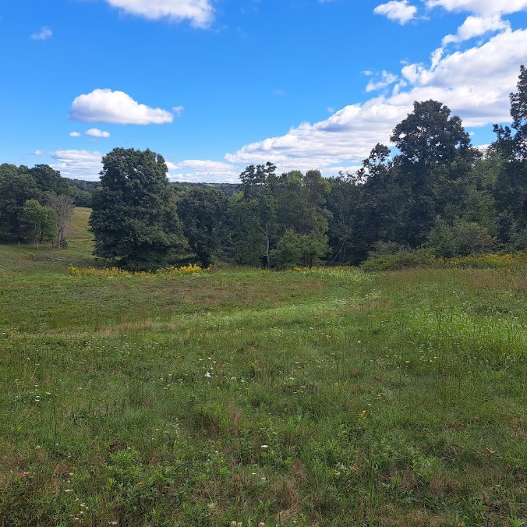 00 Chicora Rd, Fairview Twp - BUT, Pennsylvania image 16