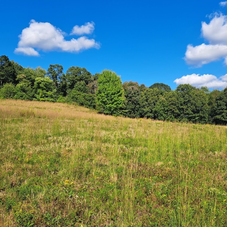 00 Chicora Rd, Fairview Twp - BUT, Pennsylvania image 29