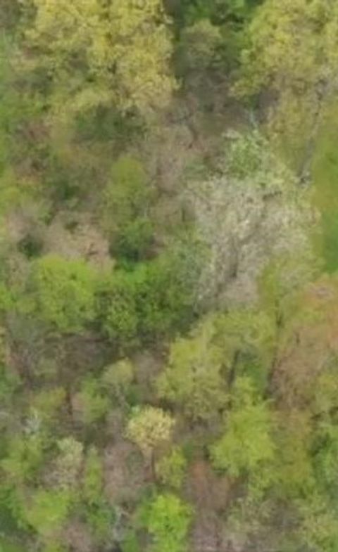 982-983 Peach Drive Shenango PA 16134
