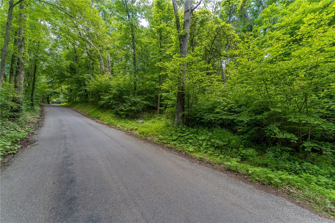 000 Dehaven Rd