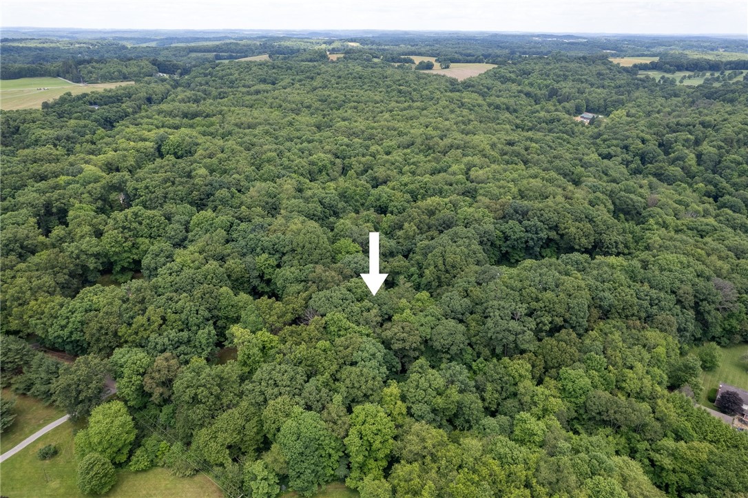 000 Dehaven Rd