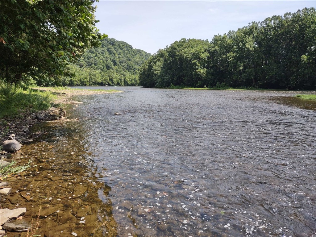 TR495 River Rd, Perryopolis, Pennsylvania image 6