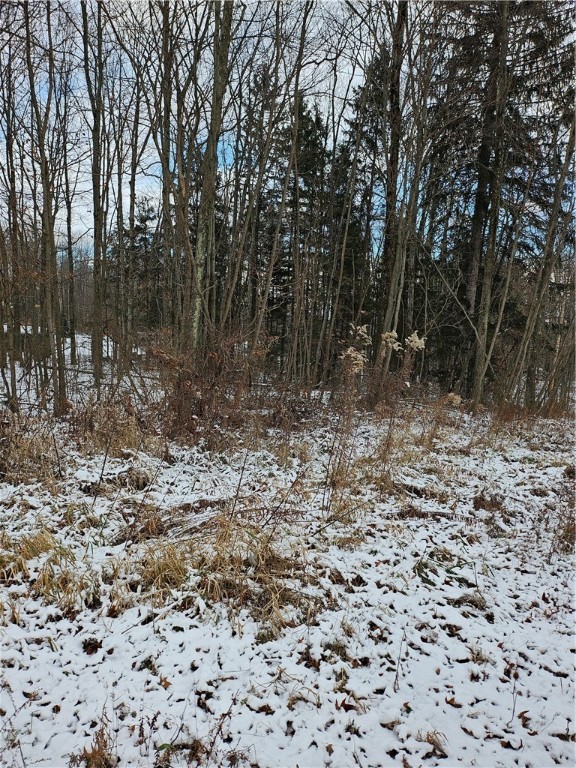 Cherry Twp, Pennsylvania 16020, United States, ,Residential,Active,26711