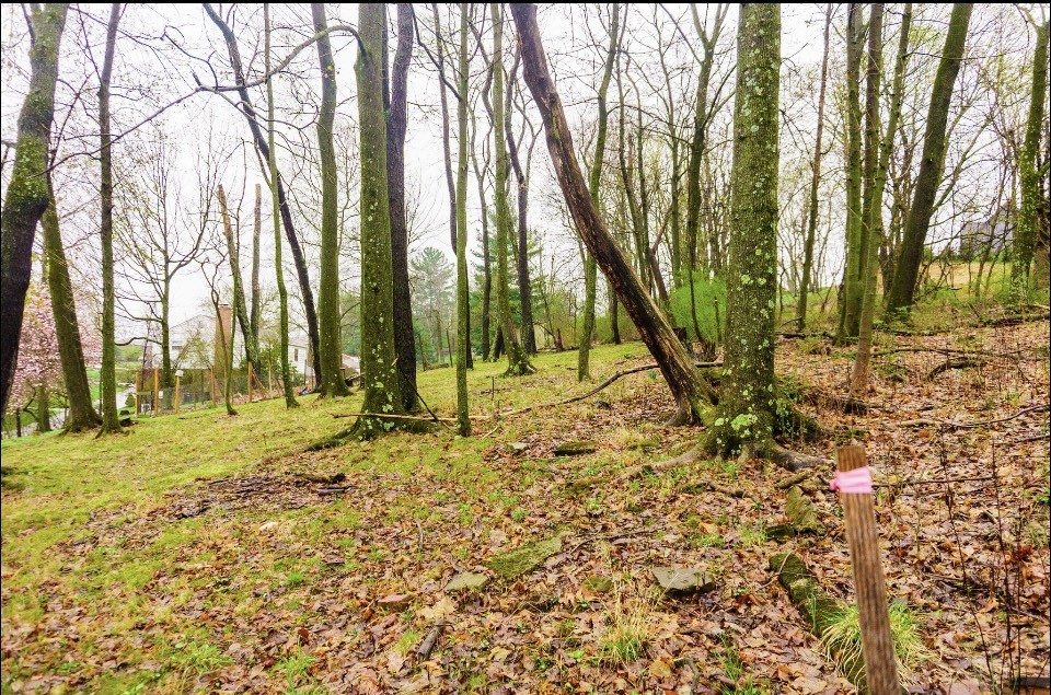 Peters Twp, Pennsylvania 15317, United States, 4 Bedrooms Bedrooms, ,3 BathroomsBathrooms,Residential,Active,105278