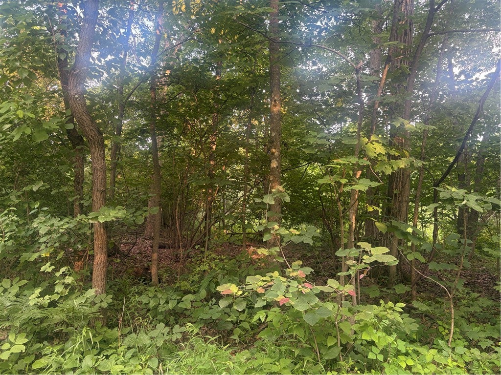Lot#1 Christie Rd