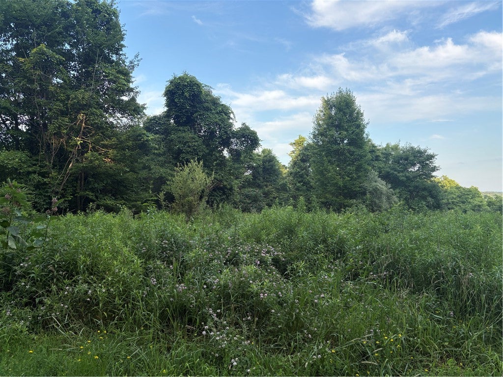 Lot#1 Christie Rd