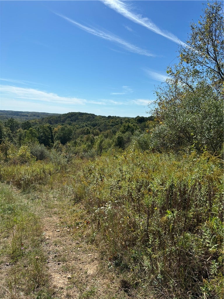 Lot#1 Christie Rd