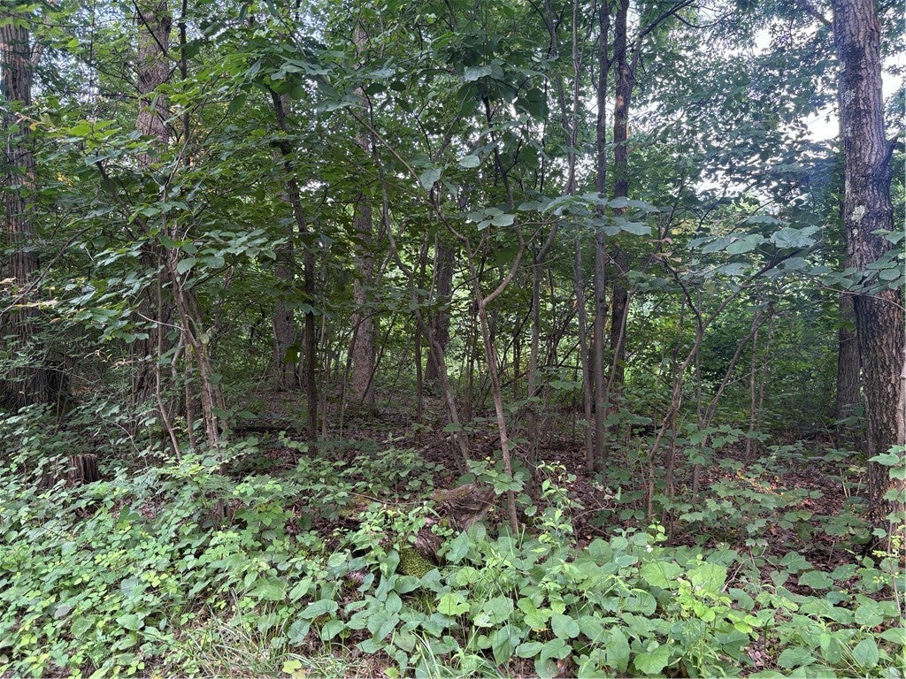 Lot#1 Christie Rd