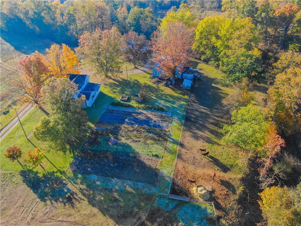 1689 Skyhill Rd, Mahoning Twp - LAW, Kentucky image 24