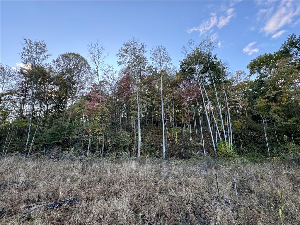 1689 Skyhill Rd, Mahoning Twp - LAW, Kentucky image 45