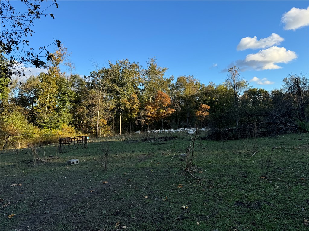 1689 Skyhill Rd, Mahoning Twp - LAW, Kentucky image 47