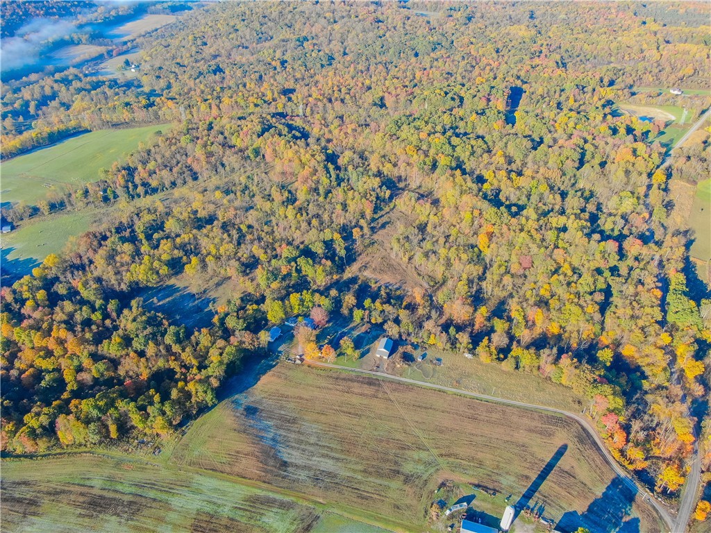 1689 Skyhill Rd, Mahoning Twp - LAW, Kentucky image 22