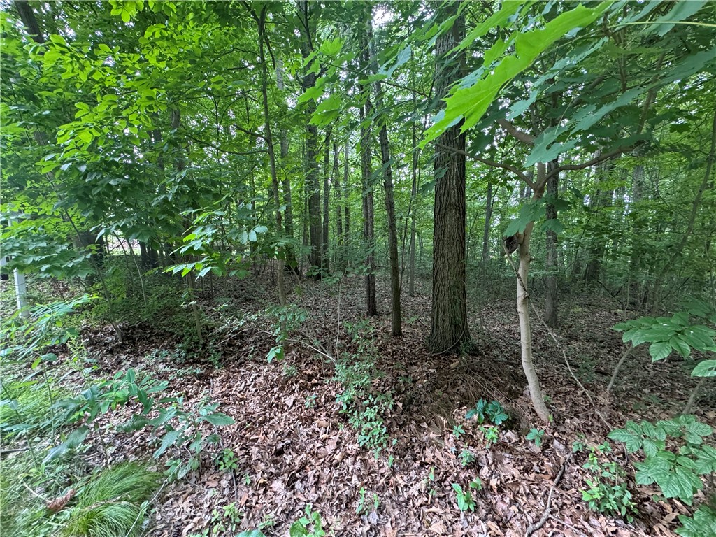 Pulaski Twp - Law, Pennsylvania 16143, United States, ,Residential,Active,54366