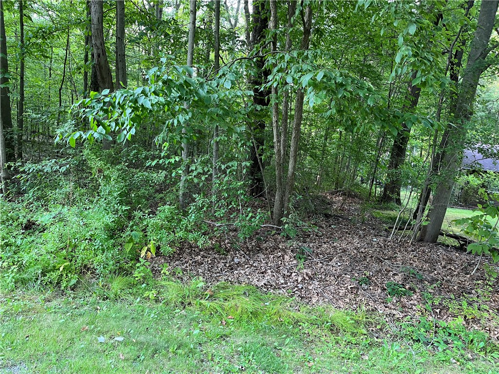 Pulaski Twp - Law, Pennsylvania 16143, United States, ,Residential,Active,54366