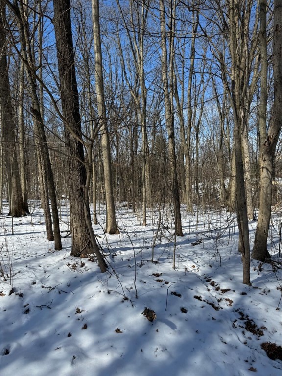 Pulaski Twp - Law, Pennsylvania 16143, United States, ,Residential,Active,54366