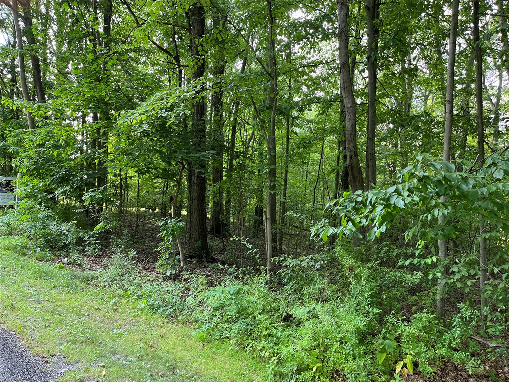 Pulaski Twp - Law, Pennsylvania 16143, United States, ,Residential,Active,54366