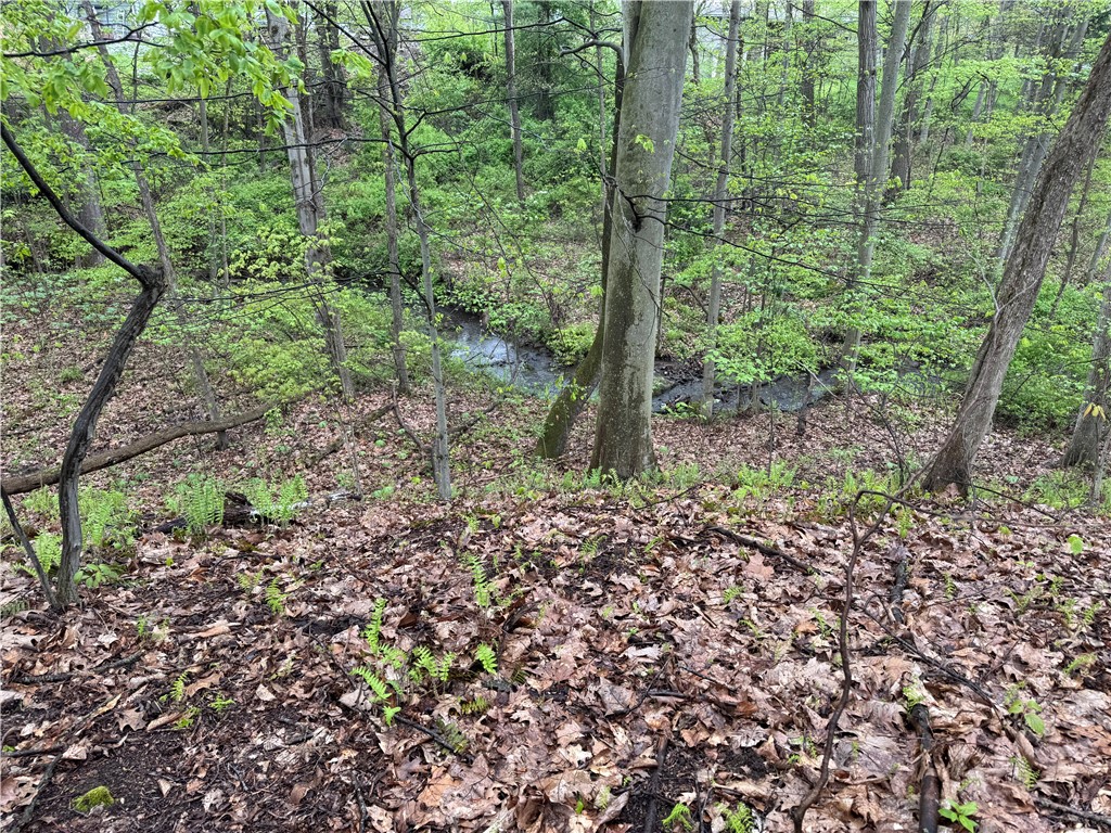 Pulaski Twp - Law, Pennsylvania 16143, United States, ,Residential,Active,54366