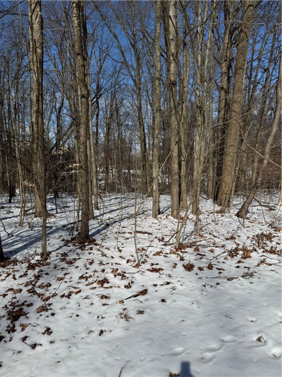 Pulaski Twp - Law, Pennsylvania 16143, United States, ,Residential,Active,54366