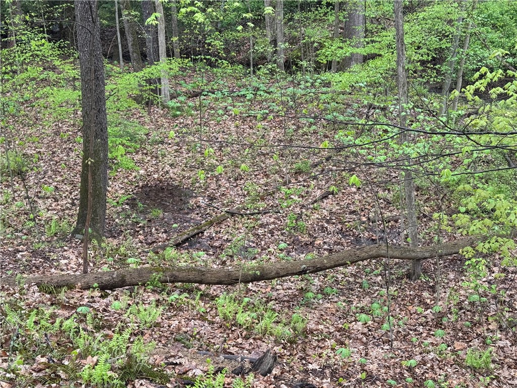 Pulaski Twp - Law, Pennsylvania 16143, United States, ,Residential,Active,54366