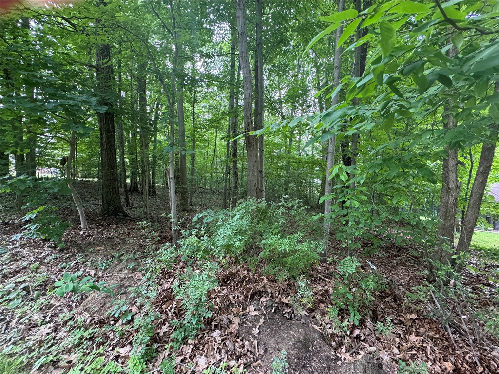 Pulaski Twp - Law, Pennsylvania 16143, United States, ,Residential,Active,54366