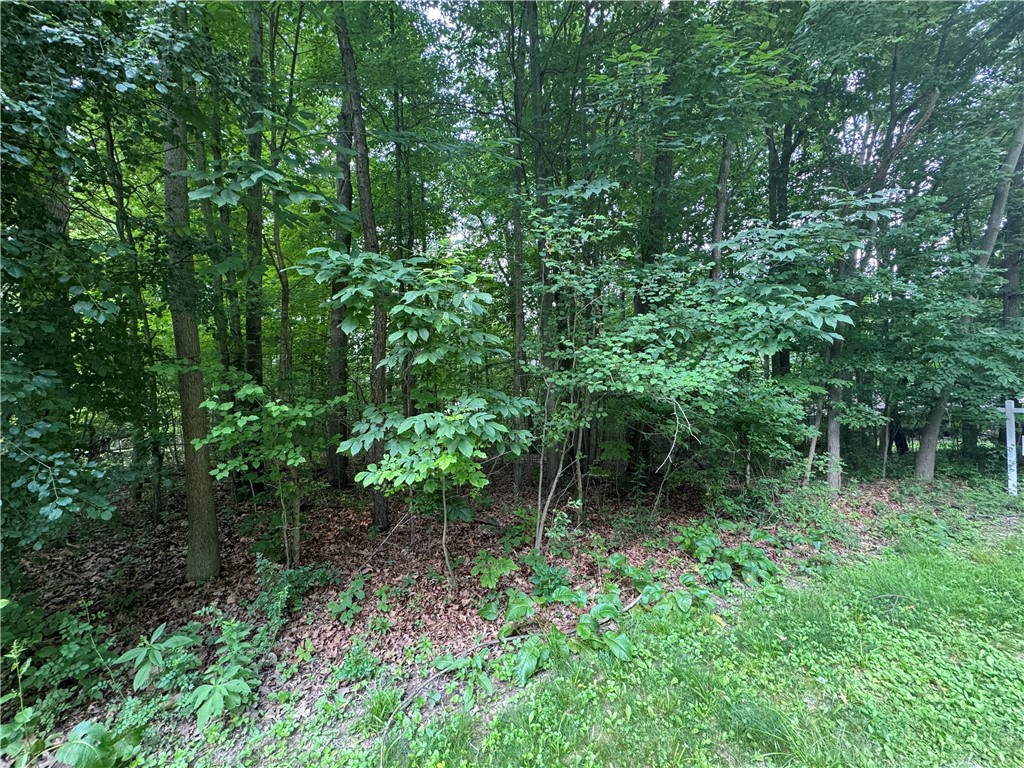 Pulaski Twp - Law, Pennsylvania 16143, United States, ,Residential,Active,54366