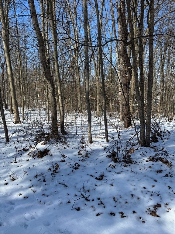 Pulaski Twp - Law, Pennsylvania 16143, United States, ,Residential,Active,54366