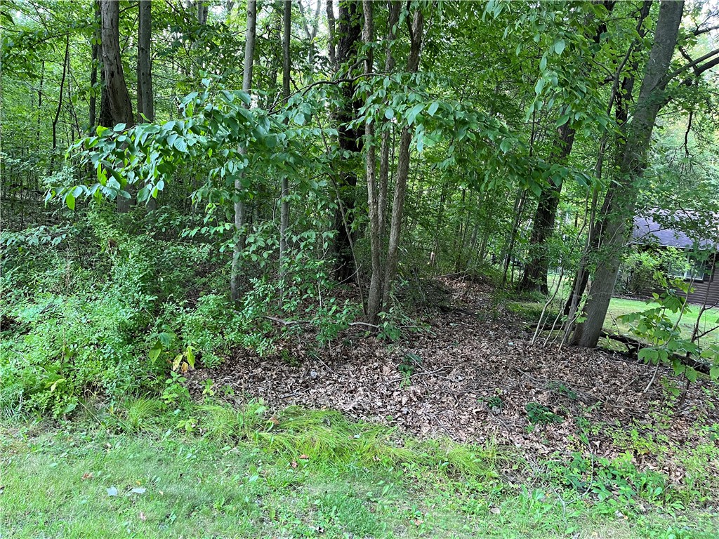 Pulaski Twp - Law, Pennsylvania 16143, United States, ,Residential,Active,54366