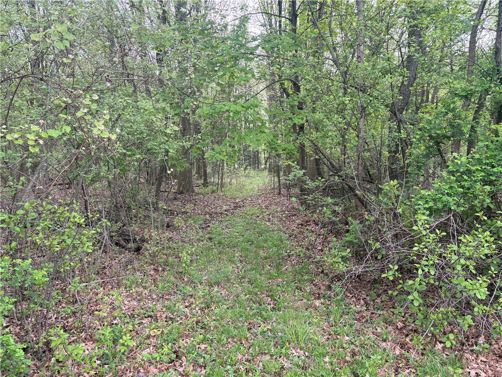 205 S Keel Ridge Rd. Rd, Hermitage, Pennsylvania image 41