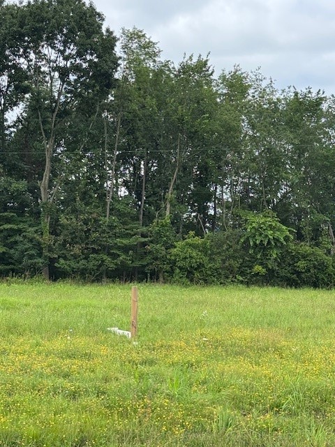 1004 Christina Court Lot 3