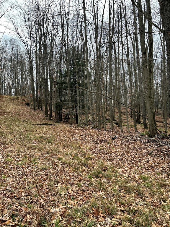 C5 S Peninsula Drive, Indian Lake Boro, Kentucky image 7