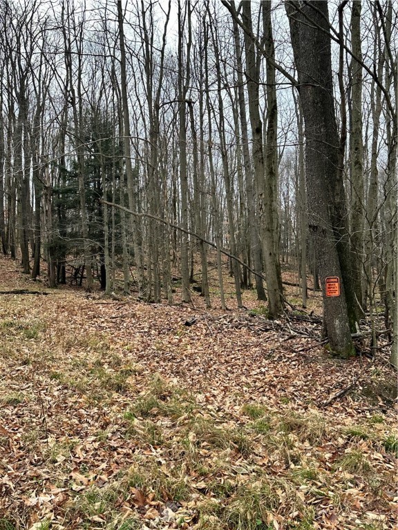 C5 S Peninsula Drive, Indian Lake Boro, Kentucky image 8